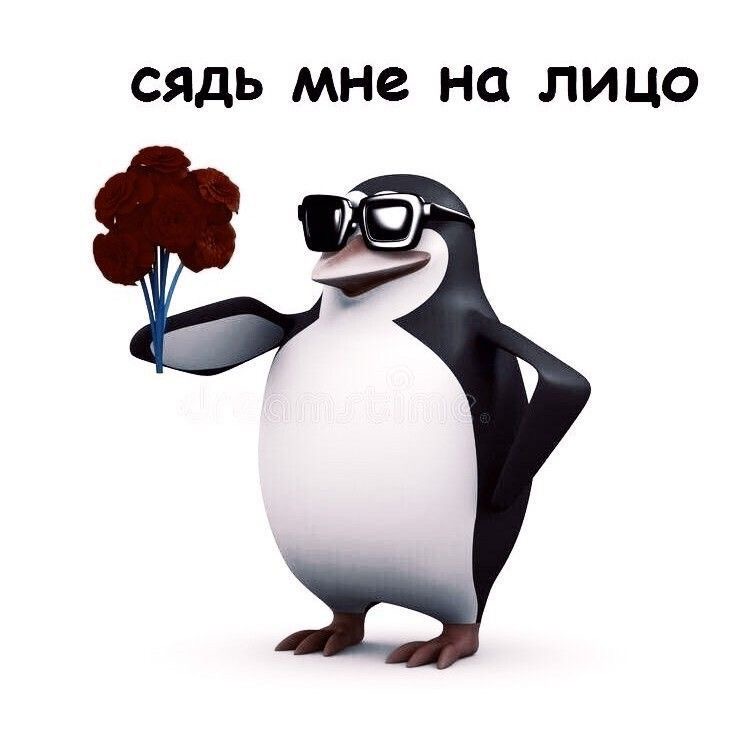 Пингвин с букетом цветов - гифки и картинки