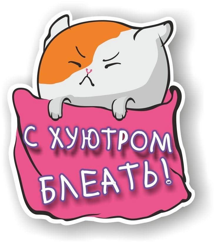 Злой кот в одеяле - С добрым утром смешные