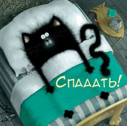 Черный кот в кровати - картинка gif