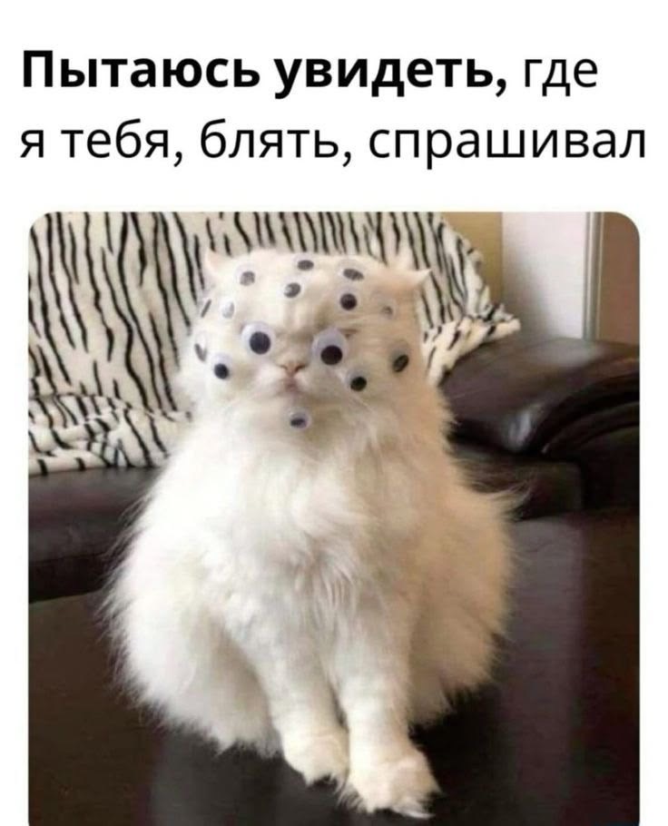 Белый кот с гоугли-глазами - гифки и картинки
