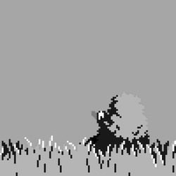 Утка взлетает из травы - картинка gif