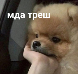 Грустный пес отдыхает - картинка gif