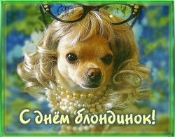Собака в парике и жемчуге - картинка gif