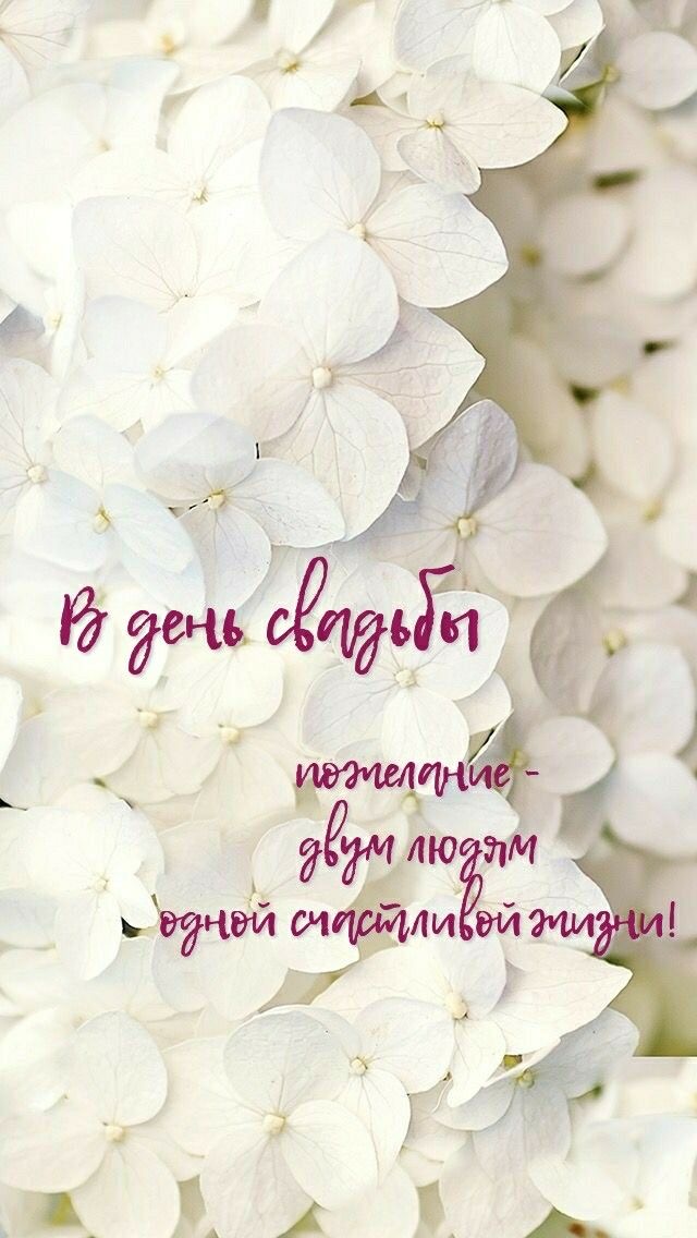 Пожелания на свадьбу - гифки и картинки