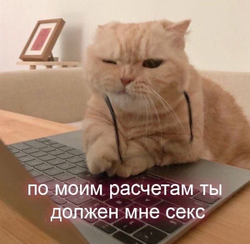 Кот работает на ноутбуке - картинка gif