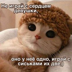 Кот в вязаной шапке - картинка gif