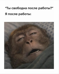 Крайняя усталость после работы - картинка gif
