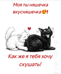 Взаимодействие двух кошек - картинка gif