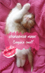 Спящий котёнок на розовом пледе - картинка gif