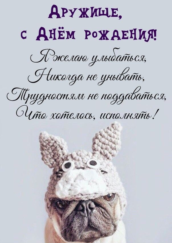 Поздравление с мопсом - гифки и картинки