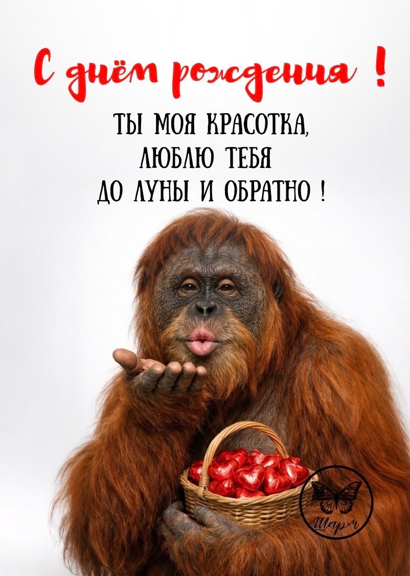 Поздравление с днем рождения - гифки и картинки