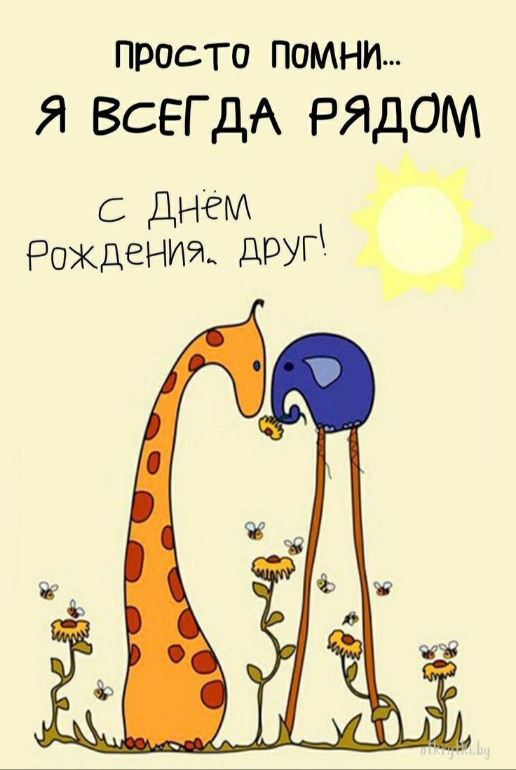 С днём рождения, друг - гифки и картинки