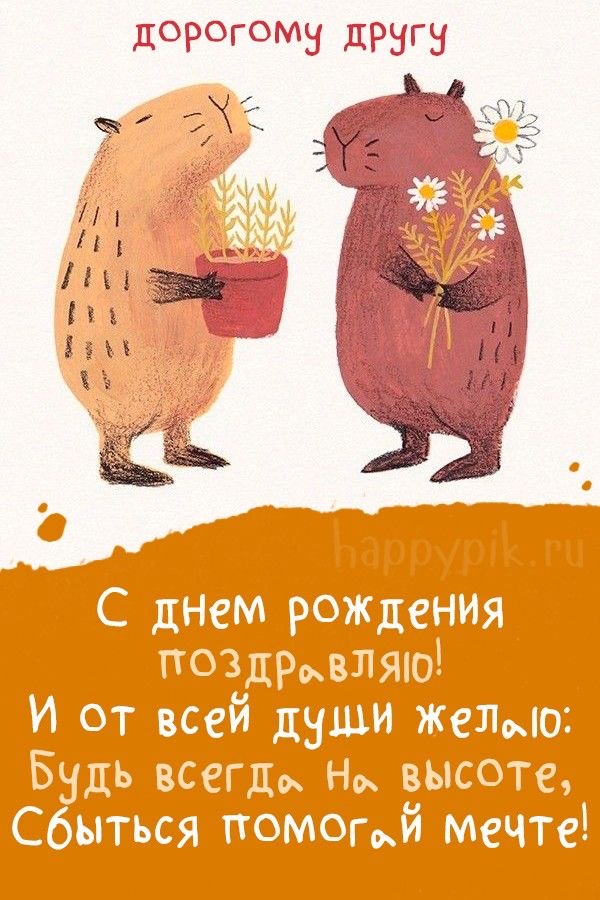 Капибары поздравляют друга - гифки и картинки