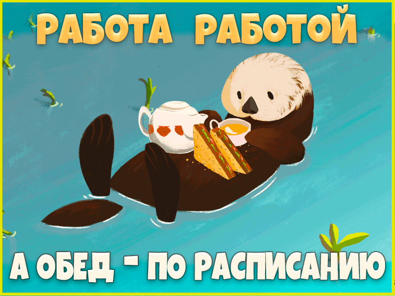 Выдра пьет чай - гифки и картинки