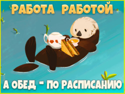 Выдра пьет чай - картинка gif