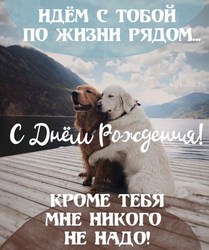 Объятия собак, С Днём Рождения - картинка gif