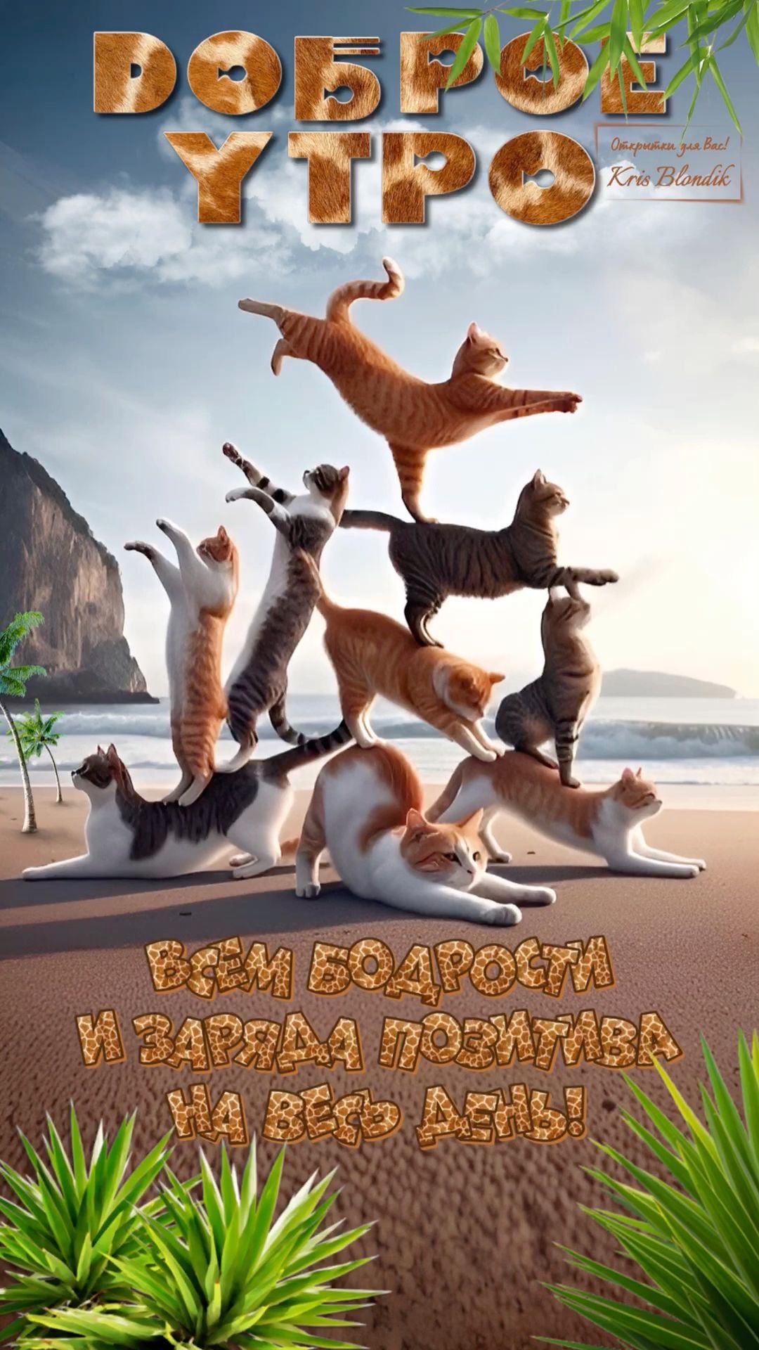 Доброе утро с кошками - гифки и картинки