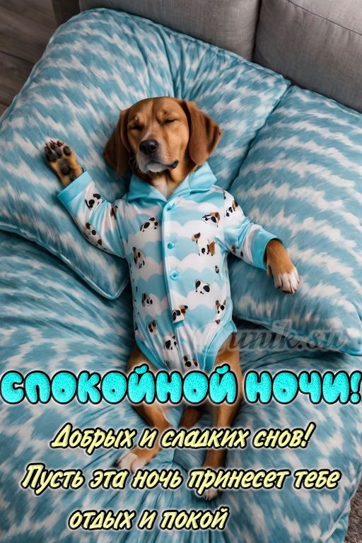Спящая собака в пижаме - гифки и картинки