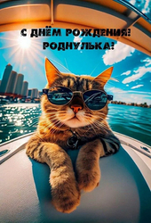 Кот в солнечных очках - картинка gif