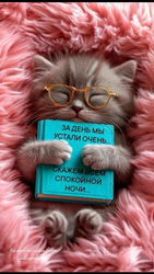 Уставший котёнок с книгой - картинка gif