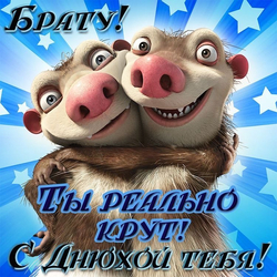 Поздравление для брата - картинка gif