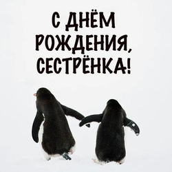 Пингвины с поздравлением сестре - картинка gif