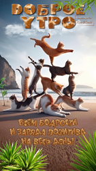 Доброе утро с кошками - картинка gif