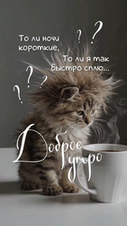 Доброе утро, котёнок - картинка gif