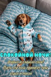 Спящая собака в пижаме - картинка gif