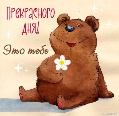 Милый медвежонок дарит цветок - гифки и картинки