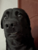 Неловкий момент замешательства - картинка gif