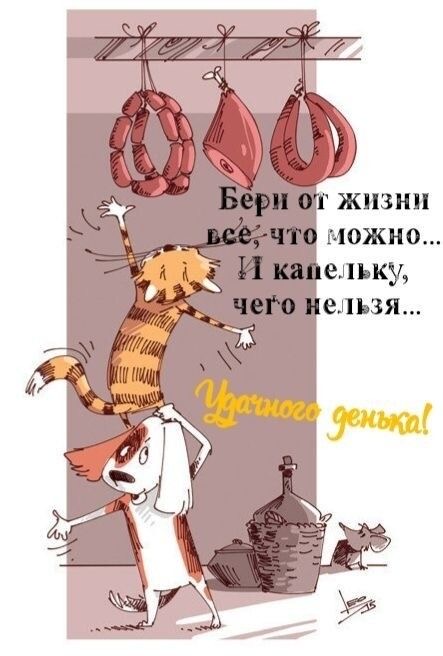 Кот крадет деликатесы - гифки и картинки