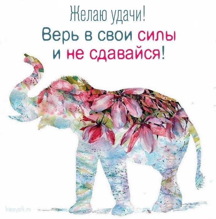 Мотивирующий акварельный слон - гифки и картинки