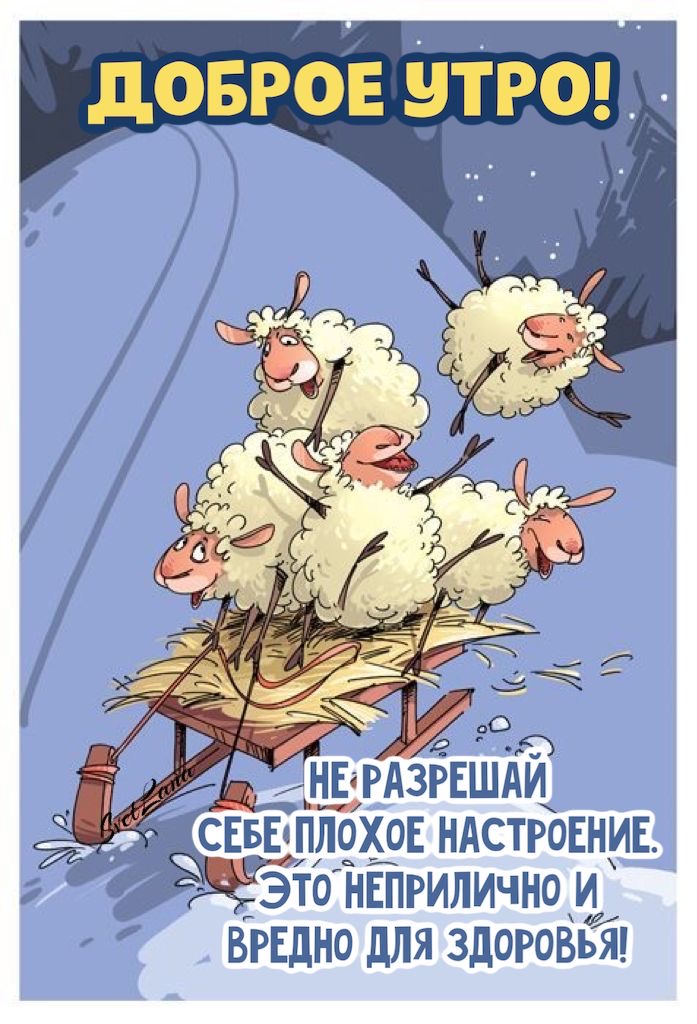 Овцы катаются на санях - гифки и картинки