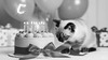 Кот празднует свой день рождения - картинка gif